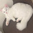 @클레식-g8e