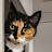 @AlkongDalkongCAT