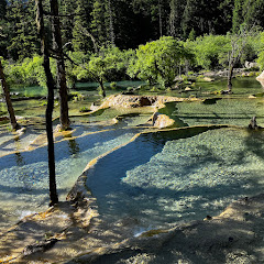 感悟生活アイコン画像