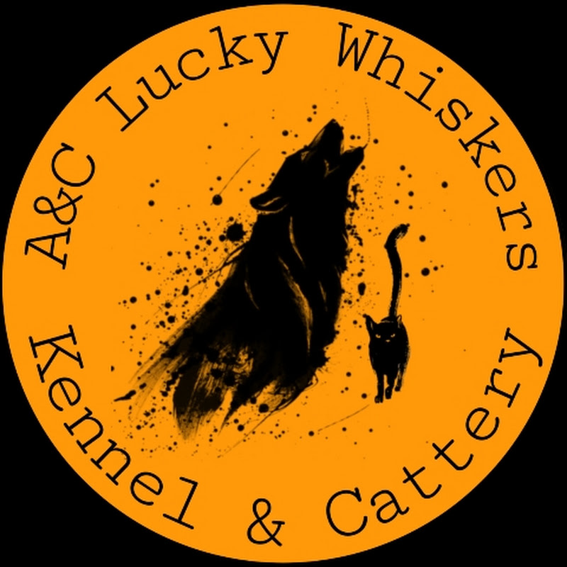 A&C Lucky Whiskers