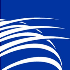Copa Airlines Avatar