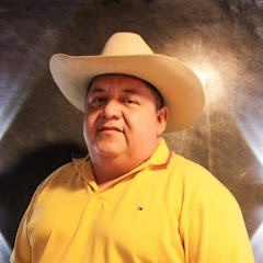 Luis Colmenarez Avatar