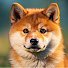 wlYNk7thHtI-channel-avatar-卡楞的