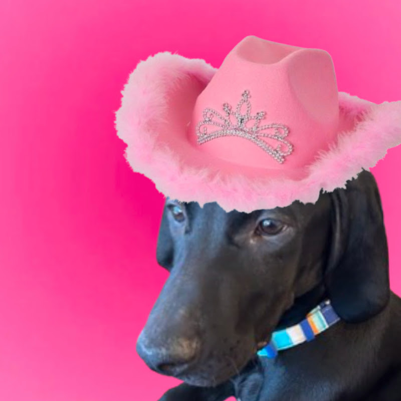 Preppy Queen