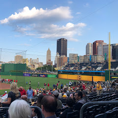 View From The Stands