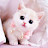 @cutepets294