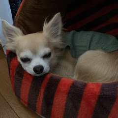 94年生まれの戯れ言