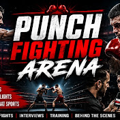 Punch Fighting Arena