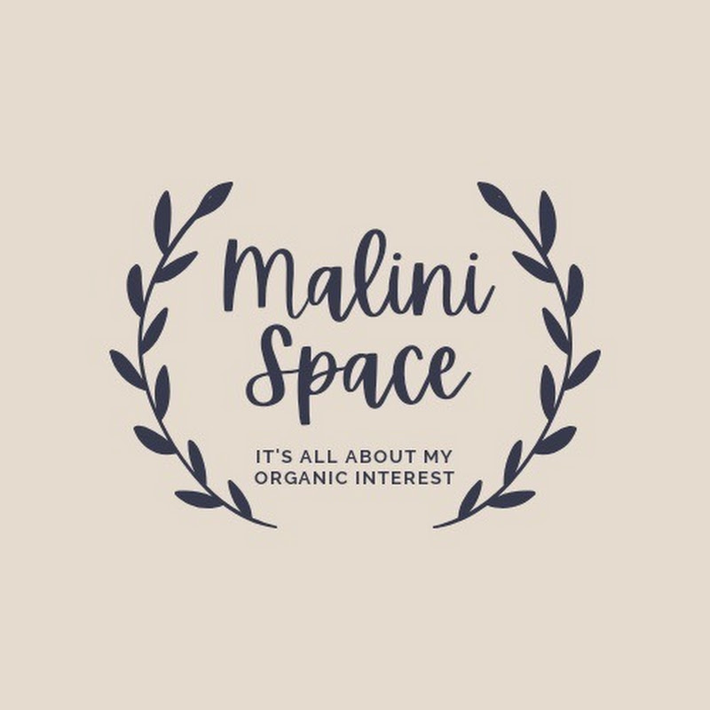 Malini Space