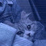 gPK3dYfkcZE-channel-avatar-LUNAA (break!)