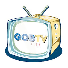 GobTV Streaming net worth