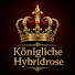 qkSFaXq8-uA-channel-avatar-Königliche Hybridrose