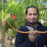 gNBebrFlJX0-channel-avatar-North Borneo Archer