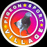 F6U7KYxmyuI-channel-avatar-Village pigeon sport