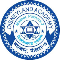 Disneyland Academy