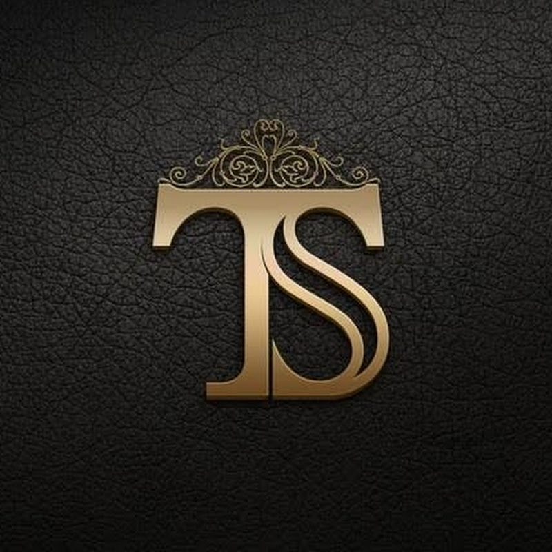 TS Entertainment 