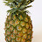 Stupid pineapple 🍍
