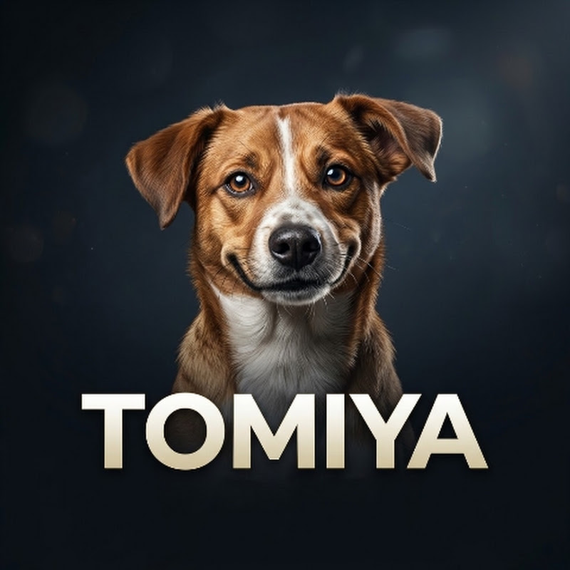 TOMIYA OFFICIAL