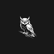 owlsssr絵画・美術