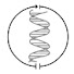 5-LPx3PvRng-channel-avatar-Society for Inherited Metabolic Disorders (SIMD)