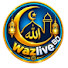 3hWjADDJpLU-channel-avatar-waz live BD