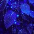 R_msZ2Q41yA-channel-avatar-NightTrail Podfics