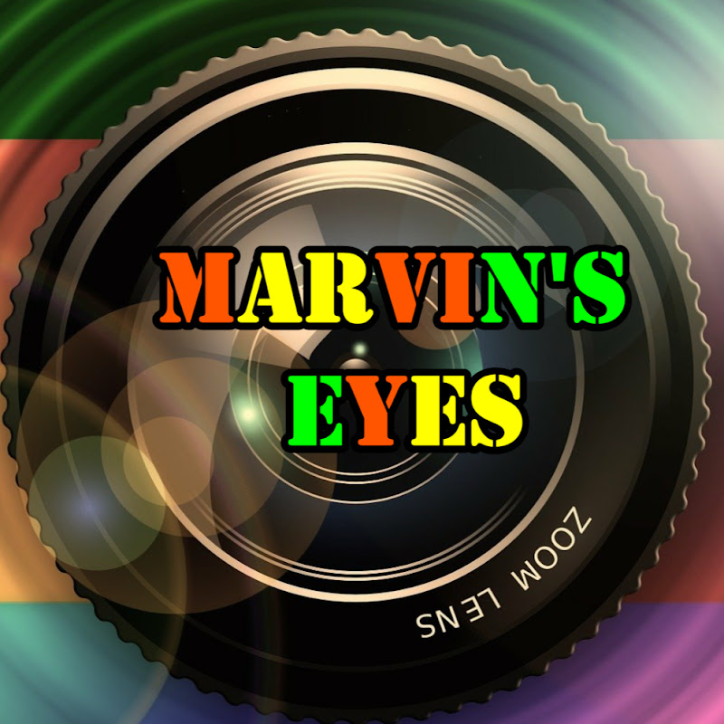 MARVIN's EYES
