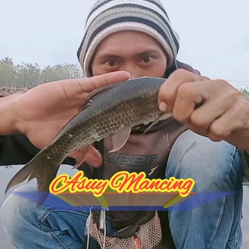 Asuy Mancing