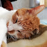 HtmMMDWbhlc-channel-avatar-Kamisuke Japan Trip