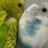 @NassirWX