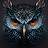 Owl_Nation_