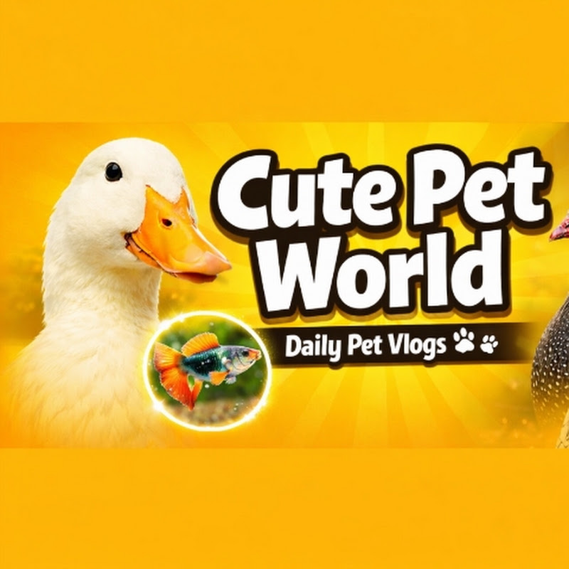 Cute Pet World 4610