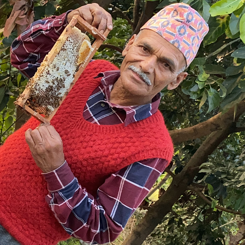 Nepal Bee Keeping