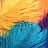 @lisa_mcdow Avatar