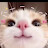 @mewUwUgat