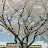 @참좋은-e5u