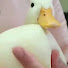 PjPcyoX4J6M-channel-avatar-유자차