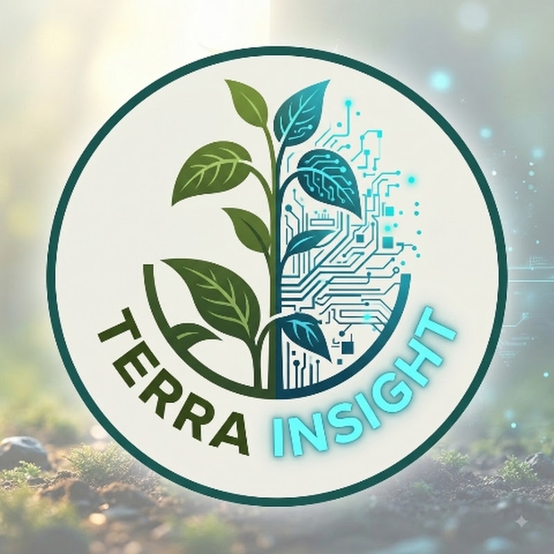 Terra Insight