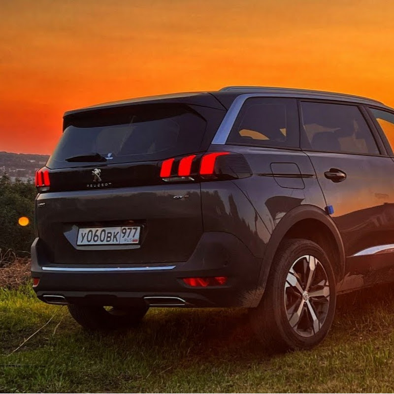 Дмитрий Лелюхин Logo