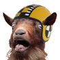 Crash Test Goat logo