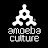 Amoeba Culture (아메바컬쳐)