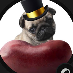 PugslikeBeans