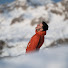 fygpbVqiT5U-channel-avatar-Nik Lavric