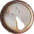X2tVpM-z0yU-channel-avatar-Bearing South