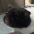 @SamsterDaHamster62