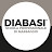 @diabasiscuolaprofessionale5117