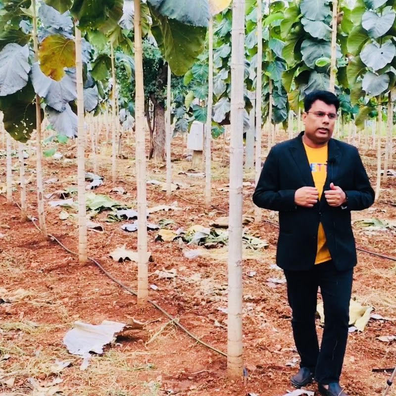 VSA Green wealth | Agroforestry Project | VSAPL