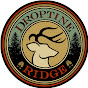 Droptine Ridge logo