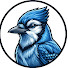 Eb81GesLm7I-channel-avatar-BirdNex