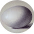 QRxDk_U_UoM-channel-avatar-Kilg0re_Tr0ut